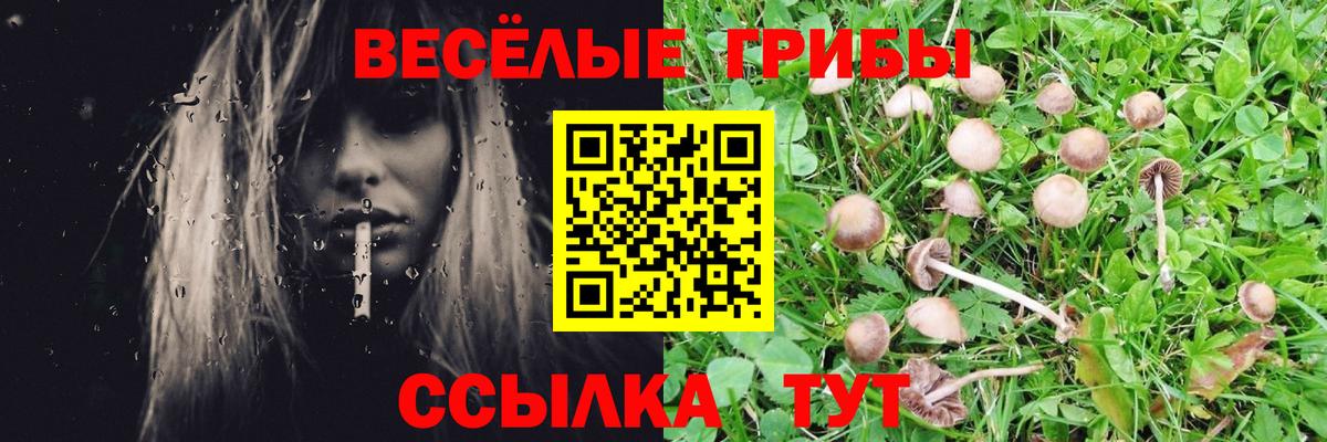Галлюциногенные грибы GOLDEN TEACHER  Вход с VPN  Мурино 